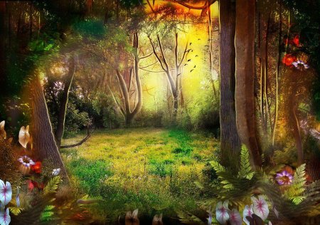 Зачарованный лес (чудесный лес) (1986)