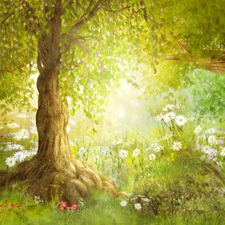 Сказочные леса