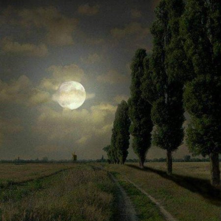 Куинджи тополя Луна