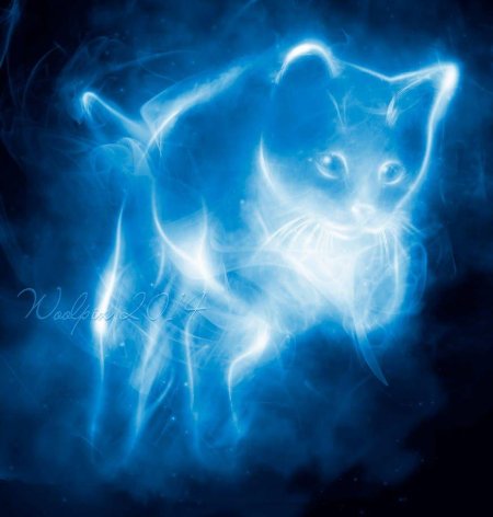 Патронус кот Нибелунг