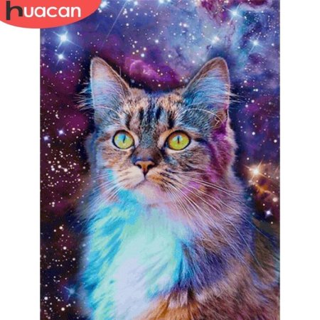 Космический кот