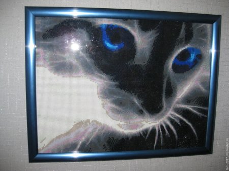 Алмазная живопись кошачий взгляд