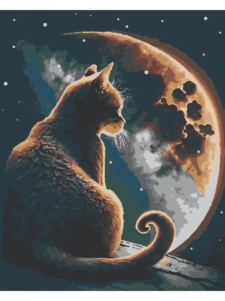 Рыжий кот в космосе