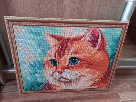Алмазная мозаика gle60004 рыжий кот