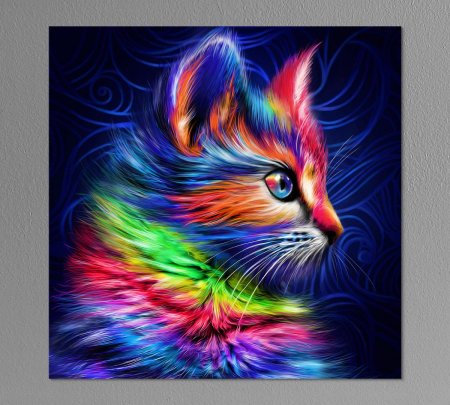 Радужный кот