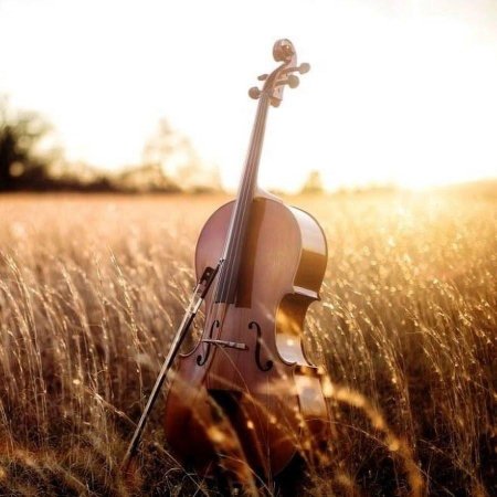 Виолончель на природе