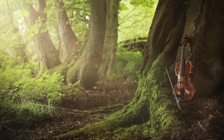 Скрипка на природе