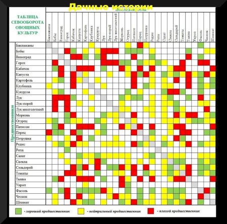 Таблица севооборота на огороде предшественники овощных