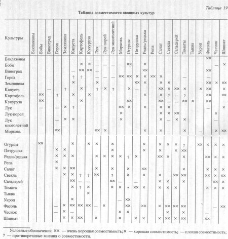 Таблица совместимости посадок овощных культур