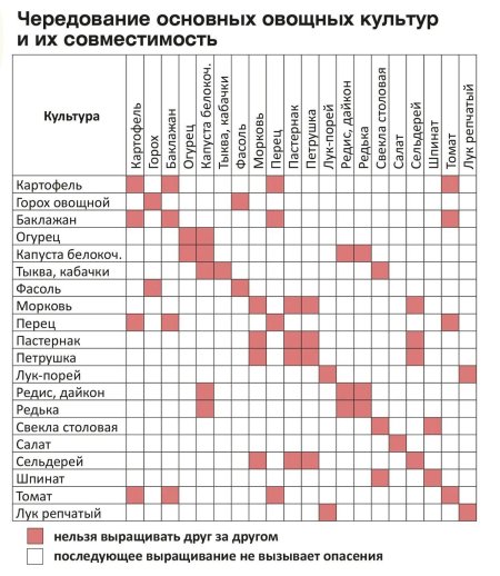 Таблица совместимости овощных культур