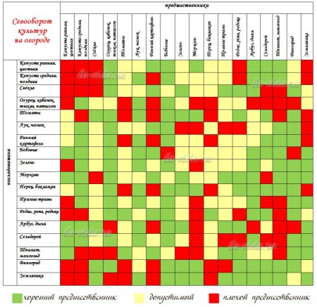 Таблица севооборота овощных культур
