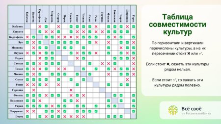 Таблица культур по совместимости