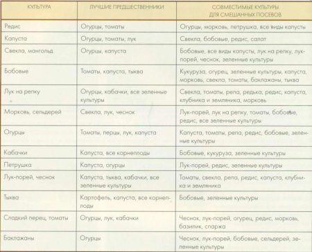 Лучшие предшественники для посадки овощей таблица