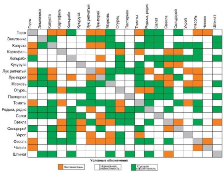 Совместимость плодовых деревьев и кустарников в саду таблица