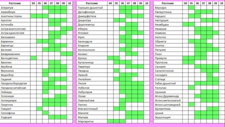 Таблица сроков цветения многолетников
