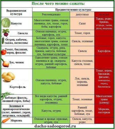 После чего сажать лук таблица севооборота