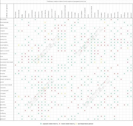 Совместимость растений на огороде