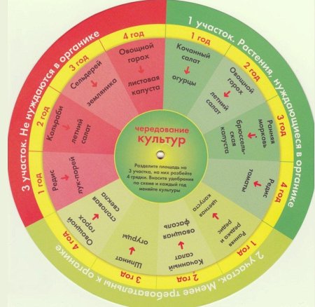 Схема севооборота овощных культур
