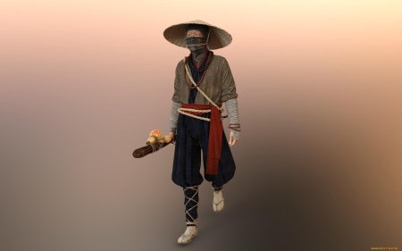 Амигаса Ронин