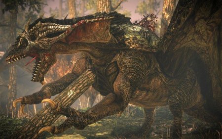 Саския Ведьмак дракон