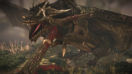 Ведьмак дракон Виллентретенмерт