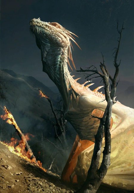 Ведьмак дракон Виллентретенмерт