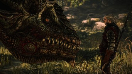 Ведьмак 2 дракон Саския