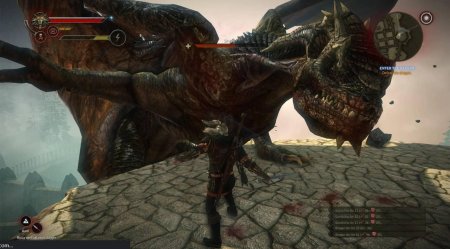 Ведьмак 2 дракон босс