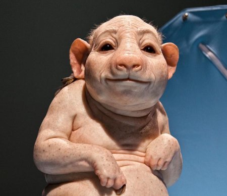 Патриция Пиччинини скульптуры