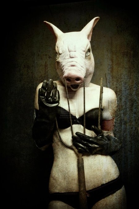 Креативная свинья