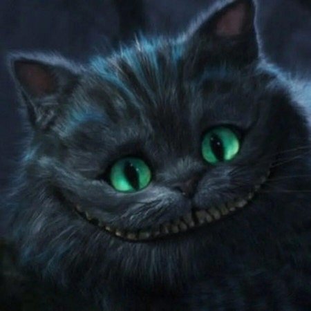 Кошка грустит