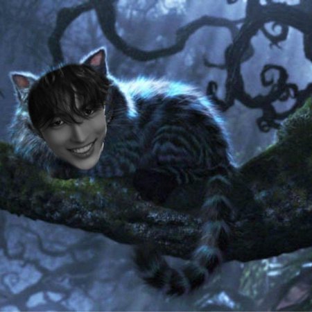 Чеширский кот