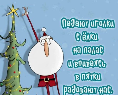 Падают иголки с ёлки на Палас