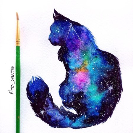 Космический кот