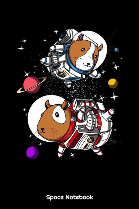 Свинка в космосе