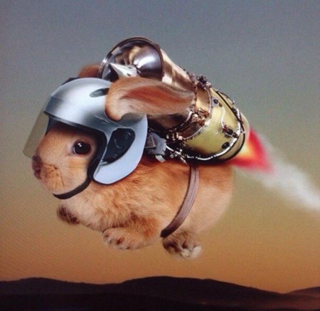 Летающий хомяк