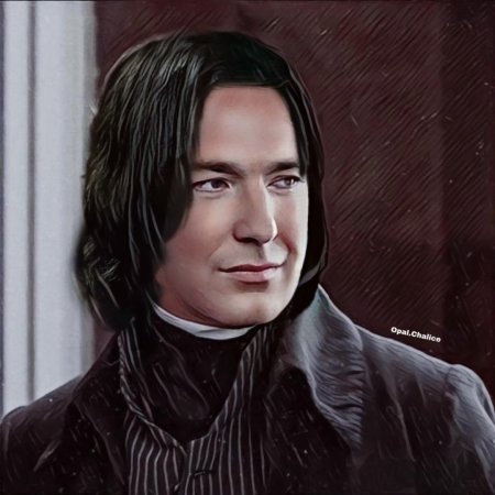 Северус Снегг Мем