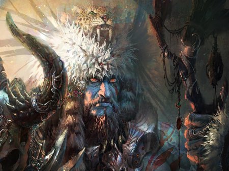 Шаман воин Скандинавия