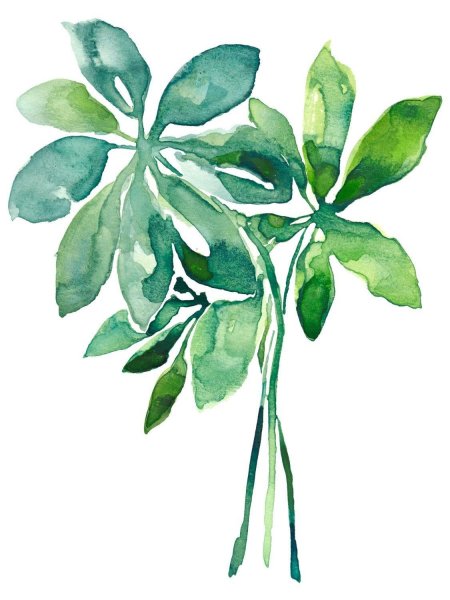 Акварельные листья