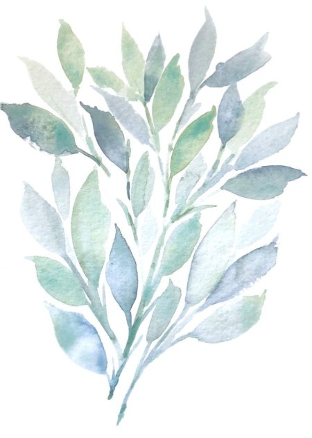 Акварельные листики