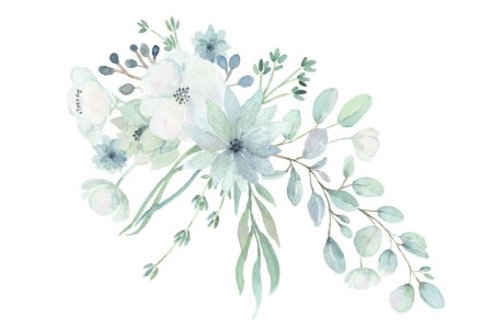 Эвкалипт акварель