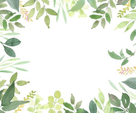 Рамка зелень