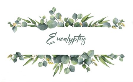 Акварельные веточки на белом фоне