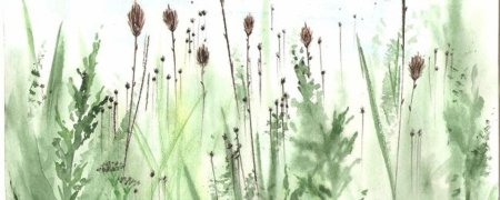 Трава акварель