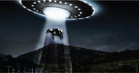 НЛО похищает корову