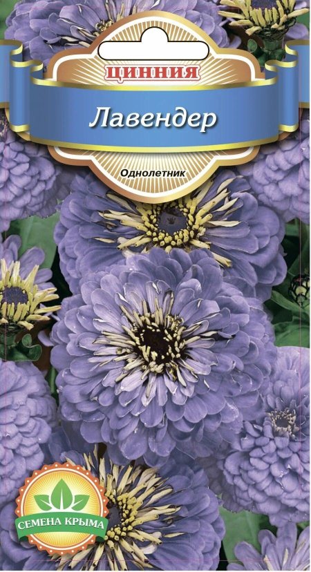 Цинния Лавендер