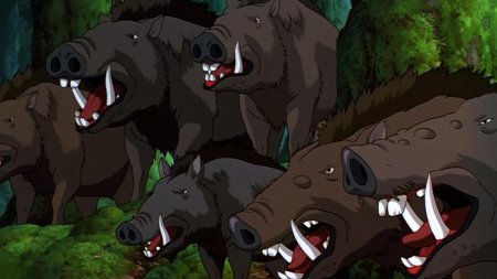 Принцесса Мононоке Оккотонуси