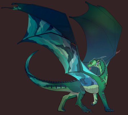 Росянка дракон Драконья сага