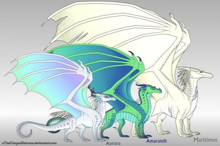 Референс дракона Wings of Fire