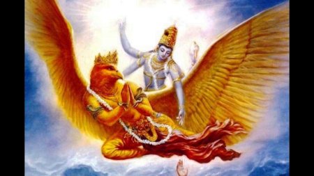 Гаруда царь птиц